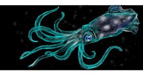 Drawing of Squid by Satoru