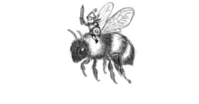 Drawing of Bumblebee by Danpah
