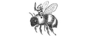 Drawing of Bumblebee by Danpah