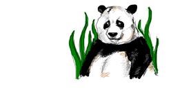 Panda-Zeichnung von Bob