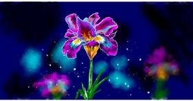 Drawing of Flower by Eclat de Lune