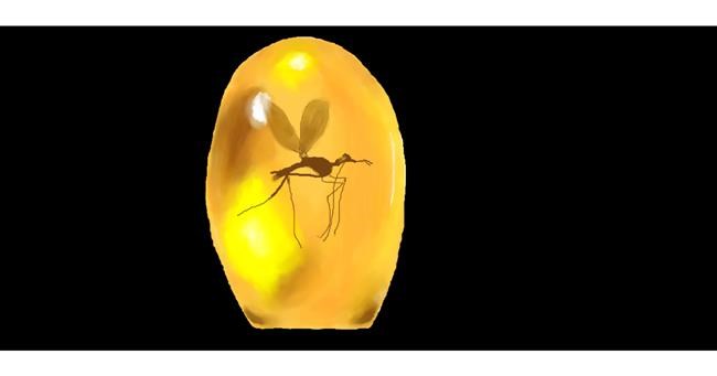 Drawing of Mosquito by Pinky