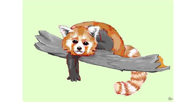 Drawing of Red Panda by flowerpot