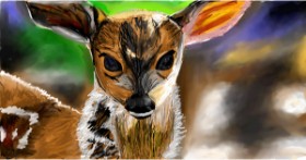 Drawing of Deer by Mia