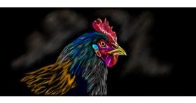 Drawing of Rooster by Chaching