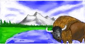 Drawing of Bison by Eri