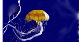 Drawing of Jellyfish by Chaching