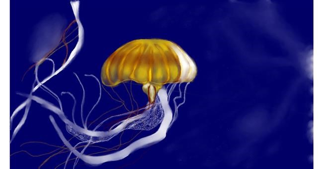 Drawing of Jellyfish by Chaching