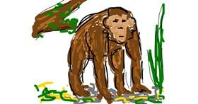 Drawing of Monkey by Firsttry