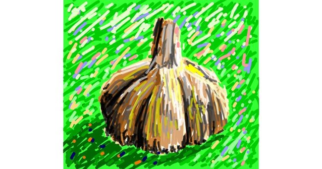 Drawing of Garlic by Sam