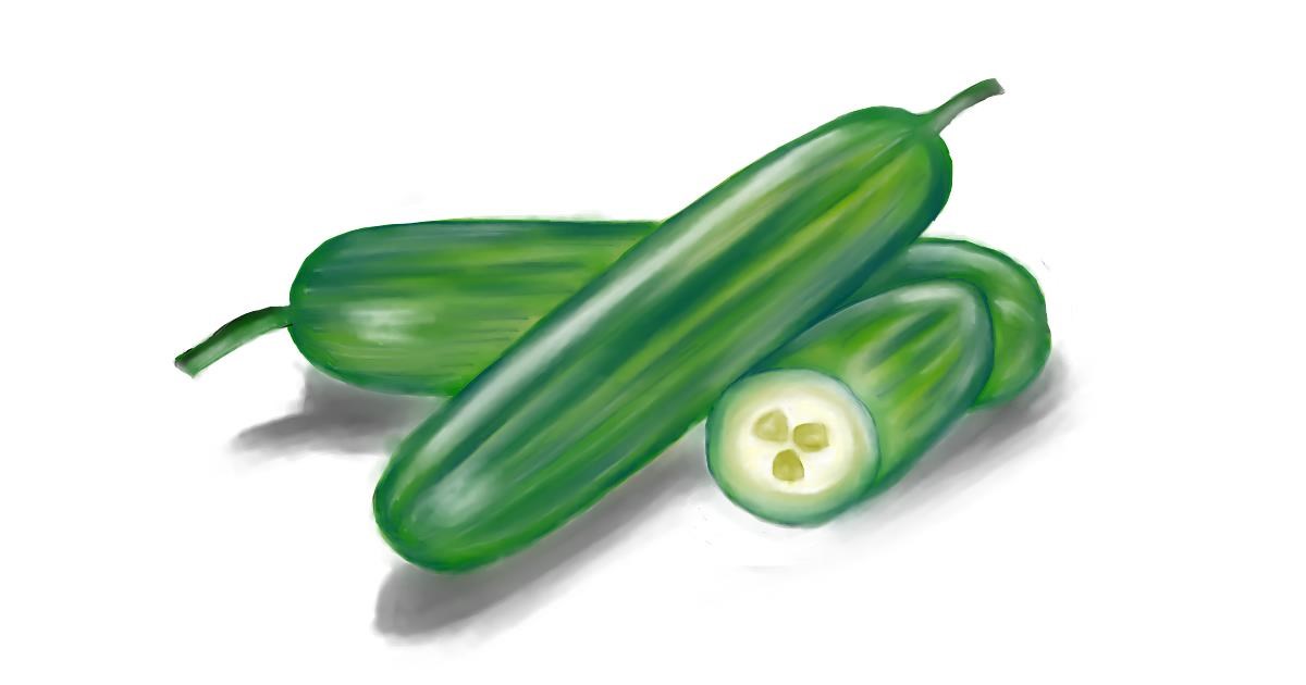 Drawing of Cucumber by Jan