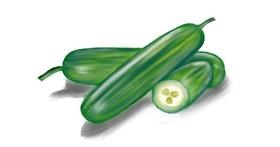 Drawing of Cucumber by Jan