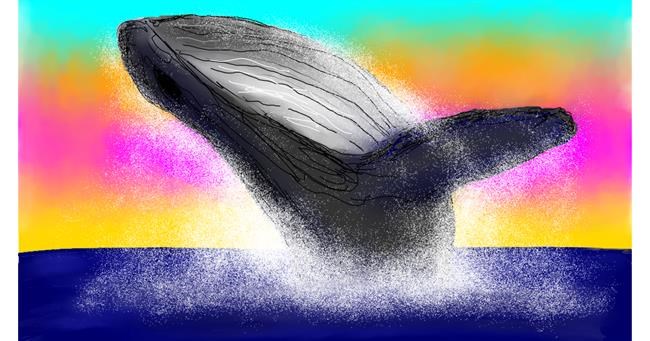 Drawing of Whale by ELLE
