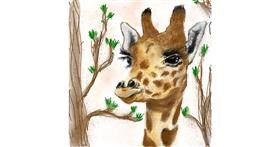 Drawing of Giraffe by 👽mint