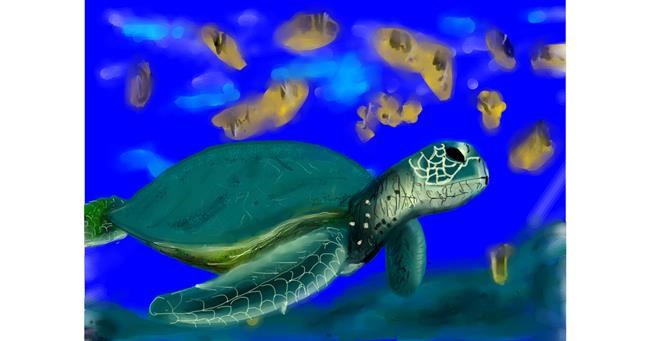 Drawing of Tortoise by Pam