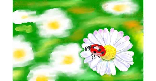 Drawing of Ladybug by GJP