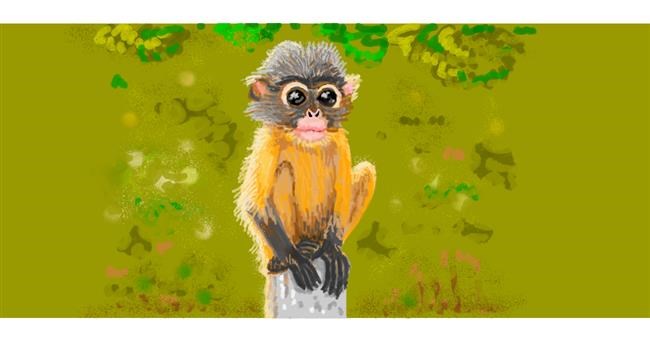 Drawing of Monkey by shiNIN