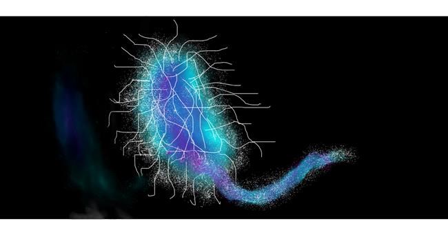 Drawing of Bacteria by lulixa