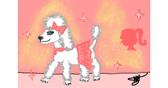 Drawing of Poodle by Ingrid