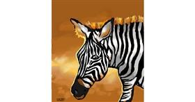 Zebra - autor: GreyhoundMama