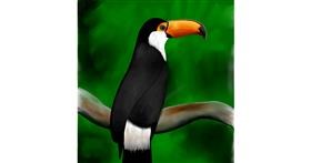 Drawing of Toucan by EMXX