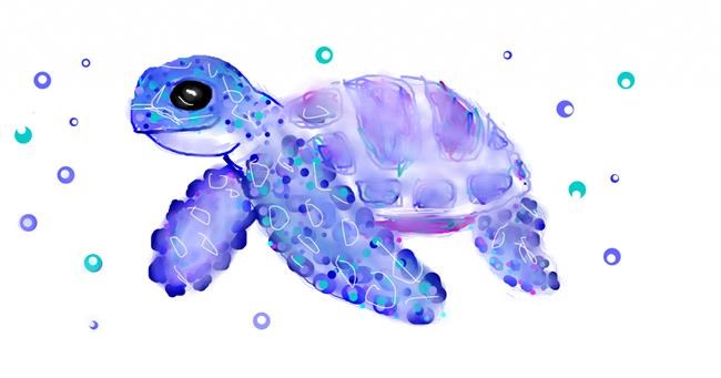 Drawing of Sea turtle by Nicko