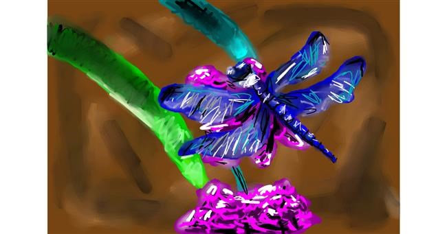 Drawing of Dragonfly by Mia