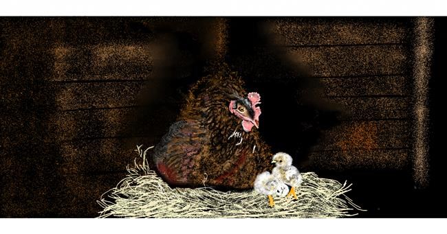 Drawing of Chicken by Chaching
