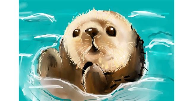 Drawing of Otter by Unknown
