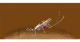 Drawing of Mosquito by Chaching