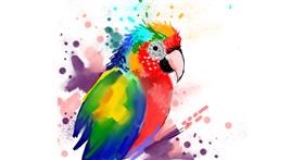 Drawing of Parrot by Cookie