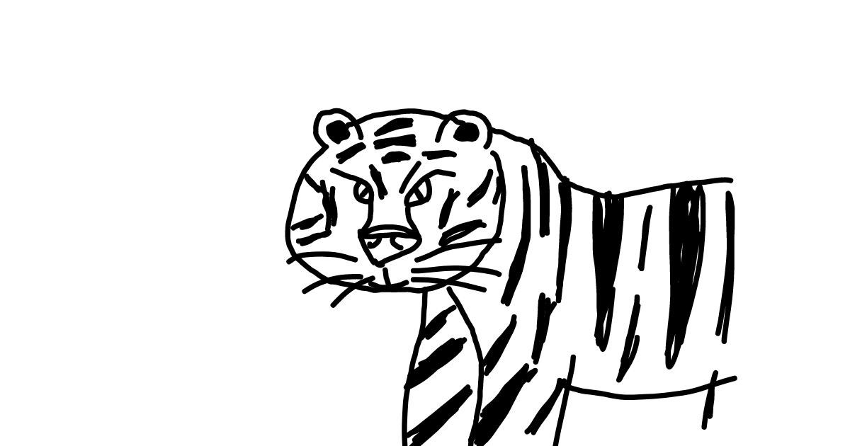 Drawing of Tiger by lina