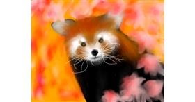 Drawing of Red Panda by Sophie_draw24