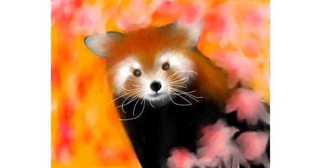 Roter Panda-Zeichnung von Sophie_draw24