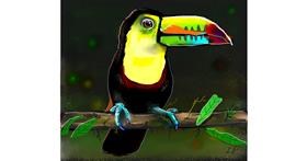 Drawing of Toucan by Leah