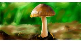 Drawing of Mushroom by 𝐋𝐢𝐚