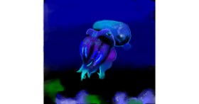 Drawing of Cuttlefish by Clar