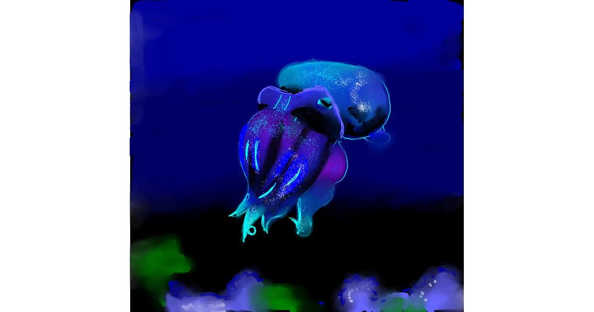 Drawing of Cuttlefish by Claria