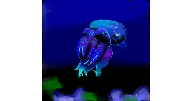Drawing of Cuttlefish by Clar