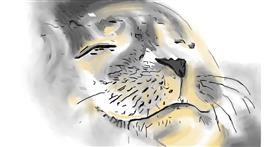 Seehund-Zeichnung von Herbert