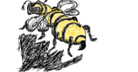 Drawing of Bee by Anonymous