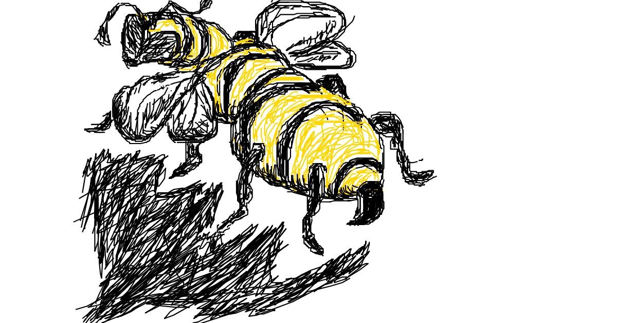 Drawing of Bee by Anonymous