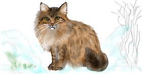 Drawing of Cat by Maggy