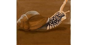 Drawing of Snail by Monja