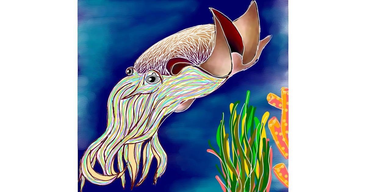 Drawing of Cuttlefish by Snowy