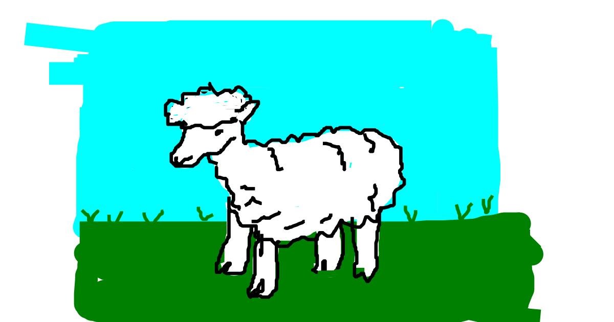 Drawing of Sheep by m