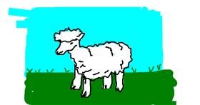 Drawing of Sheep by m