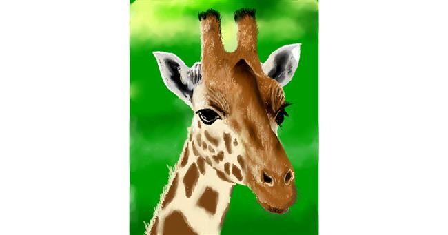 Drawing of Giraffe by Bugoy
