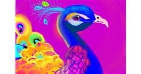 Drawing of Peacock by Niny