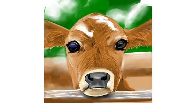 Drawing of Cow by Rose rocket